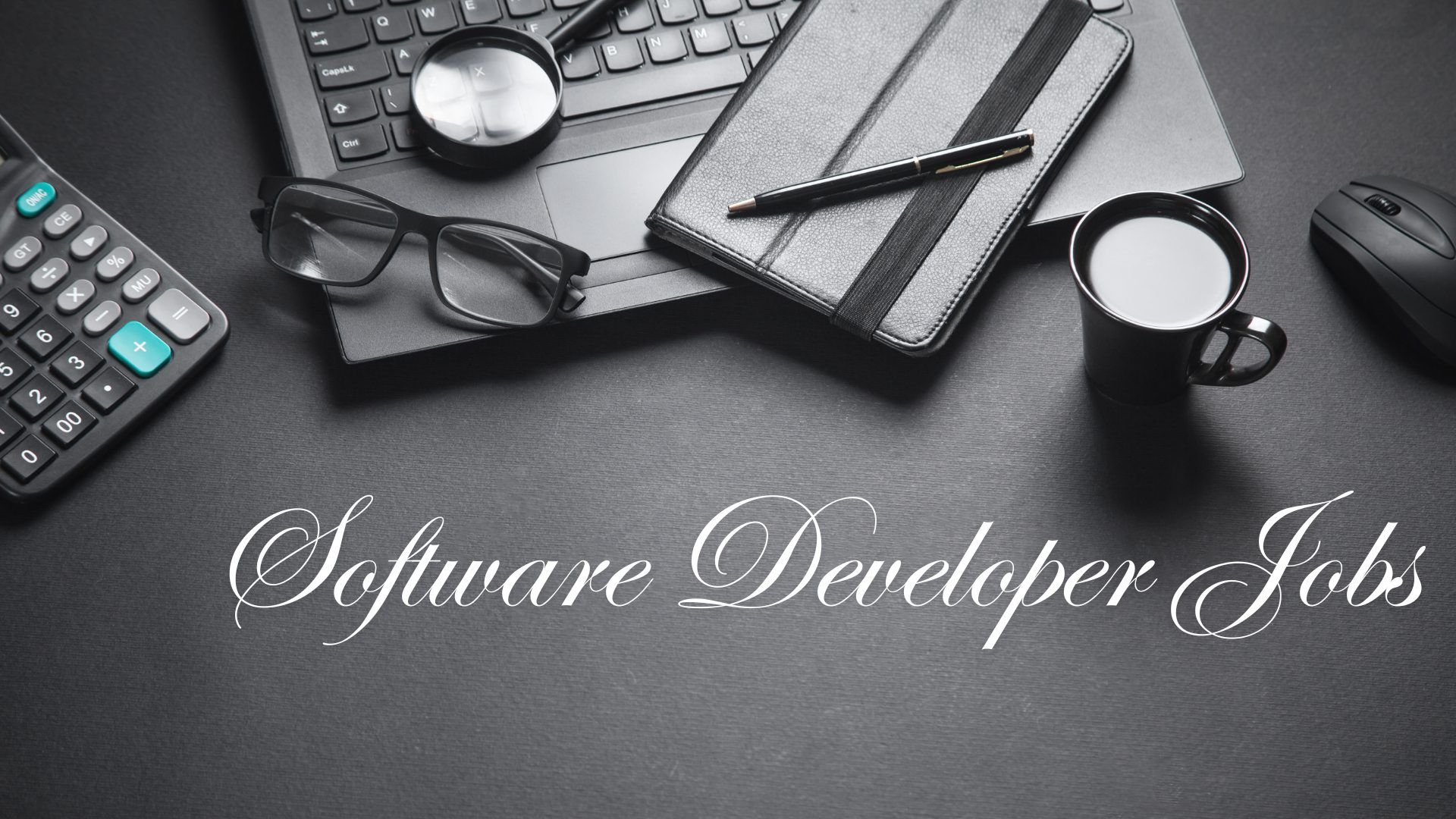 Software Developer Jobs