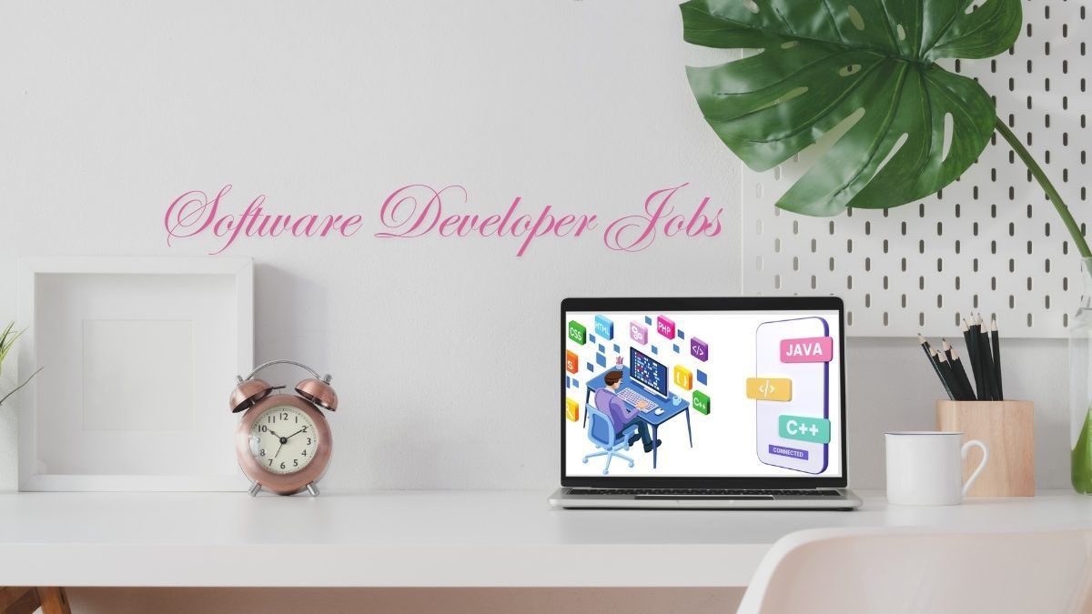 Software Developer Jobs